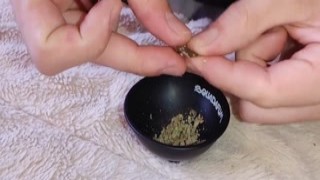 Alice in Dickland - Weed Review and Deepthroat Blowjob